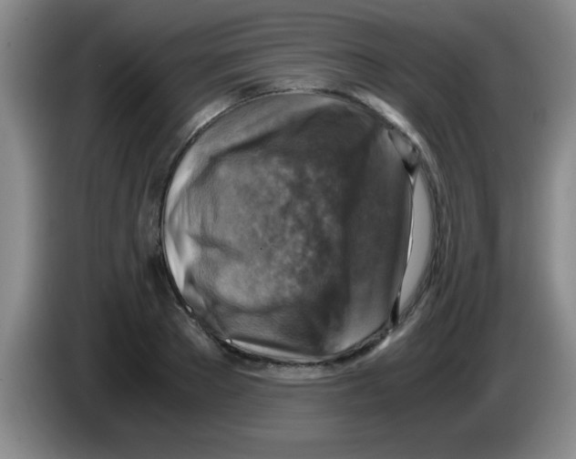 X0000083560889200703091614