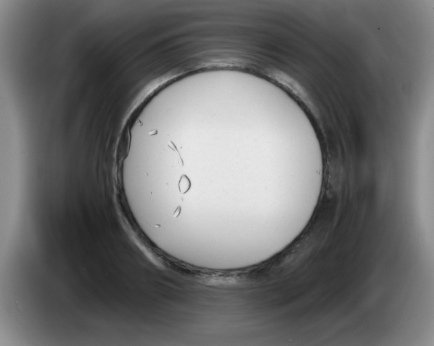 X0000083560890200703091614