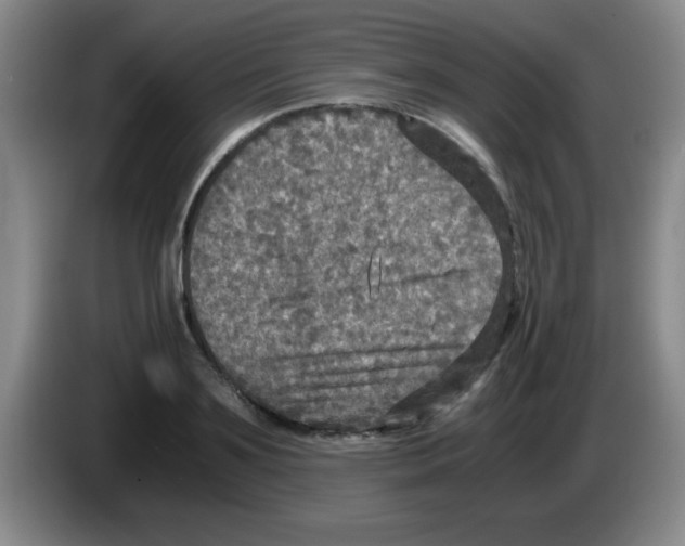 X0000083560891200703091614