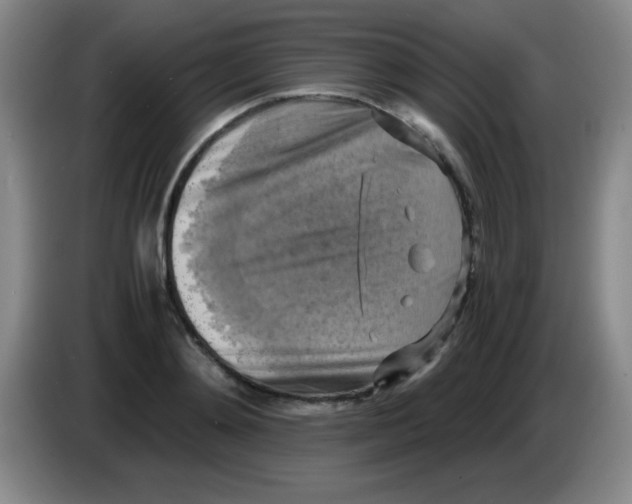 X0000083560892200703091614