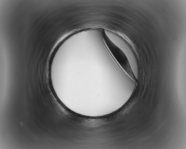 X0000083560894200703091614