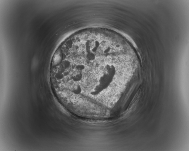 X0000083560895200703091614