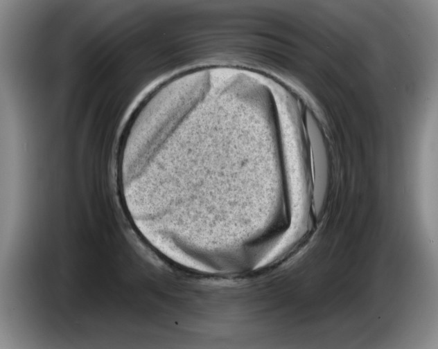 X0000083560896200703091614