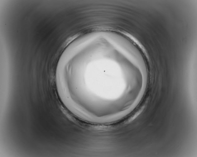 X0000083560897200703091614