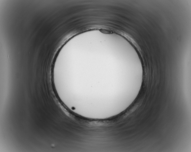 X0000083560898200703091614