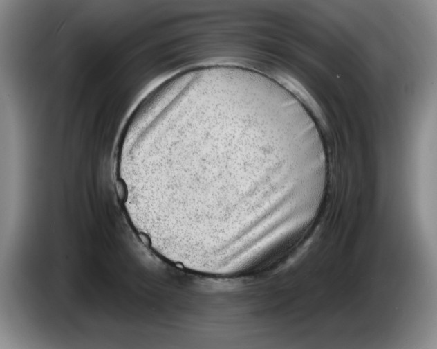 X0000083560900200703091614