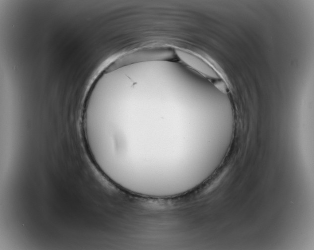 X0000083560901200703091614