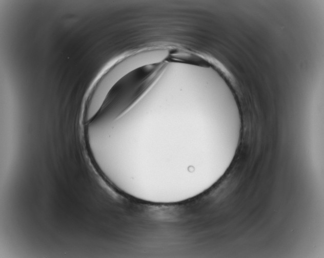 X0000083560902200703091614