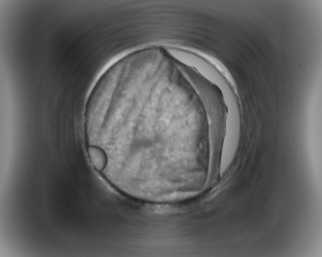 X0000083560903200703091614