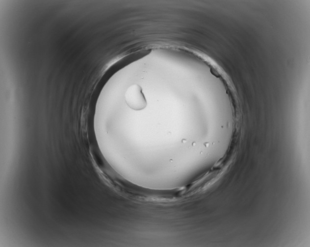 X0000083560905200703091614