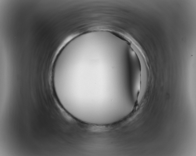 X0000083560909200703091614