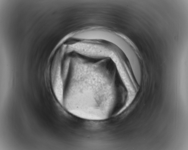 X0000083560910200703091614