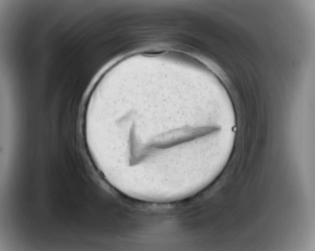 X0000083560912200703091613