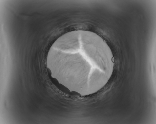 X0000083560913200703091613