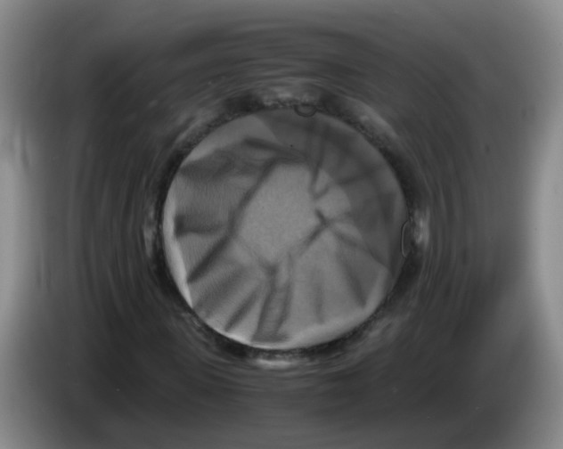 X0000083560915200703091613