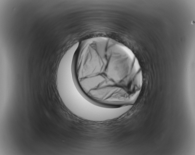 X0000083560916200703091613