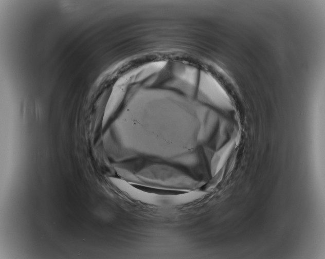 X0000083560920200703091613