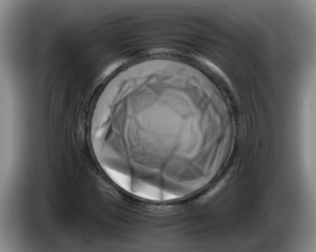 X0000083560921200703091613