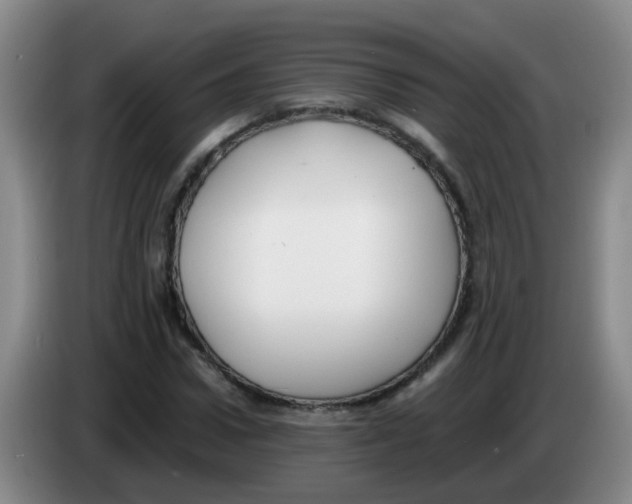 X0000083560922200703091613