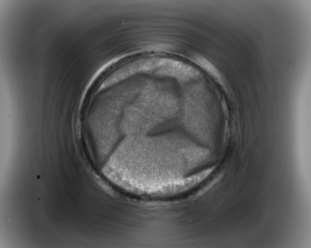 X0000083560924200703091613