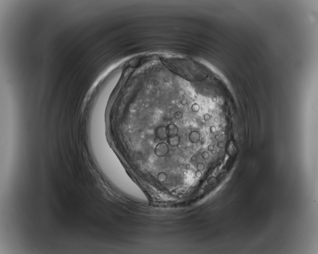 X0000083560925200703091613