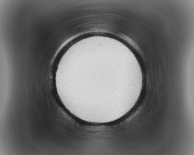 X0000083560926200703091613