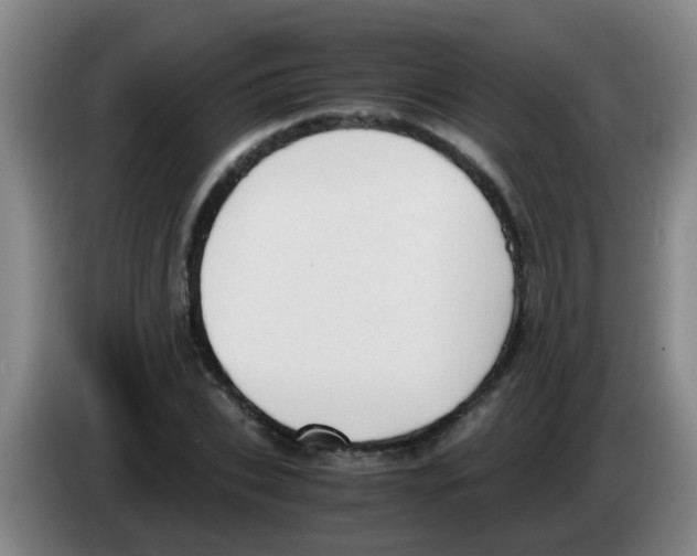 X0000083560927200703091613