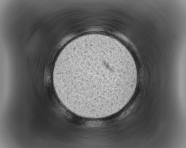 X0000083560929200703091613