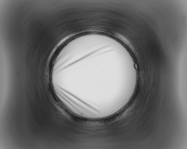 X0000083560931200703091613