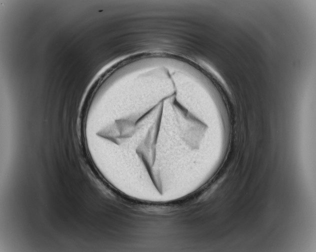 X0000083560932200703091613