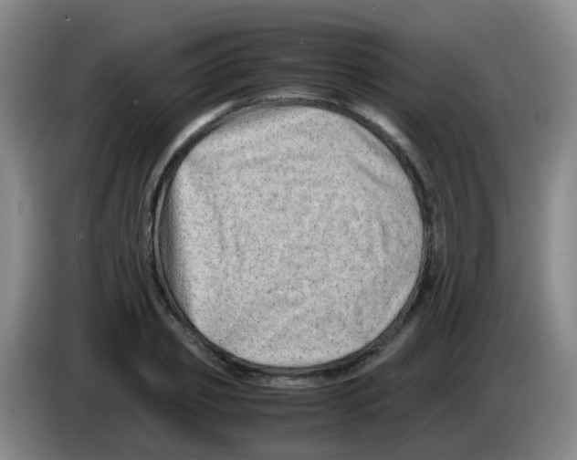 X0000083560933200703091613