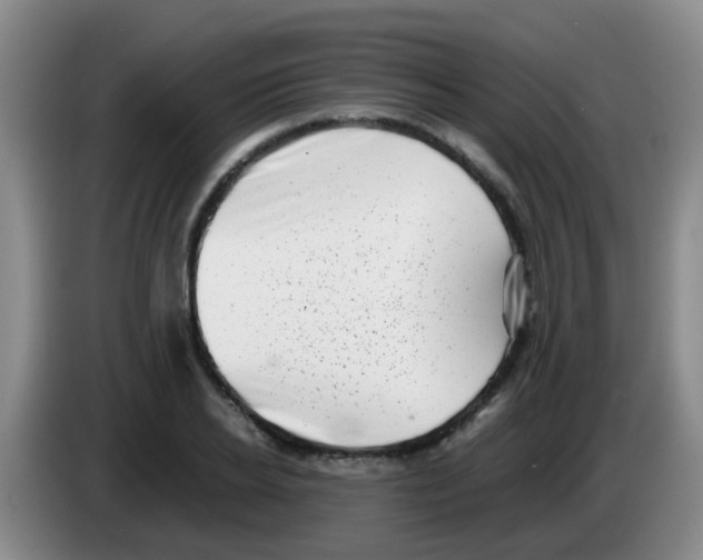 X0000083560934200703091613