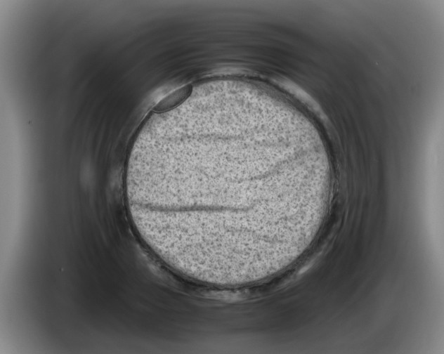 X0000083560937200703091613