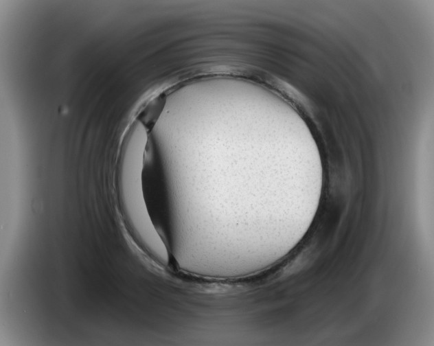 X0000083560938200703091613