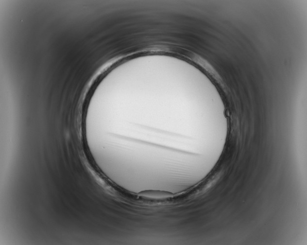 X0000083560939200703091613