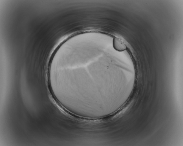 X0000083560941200703091613