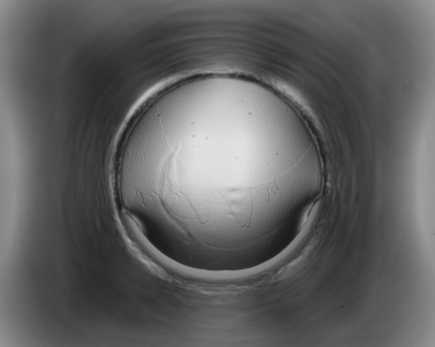 X0000083560942200703091613