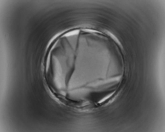 X0000083560944200703091613