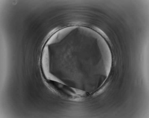 X0000083560946200703091613