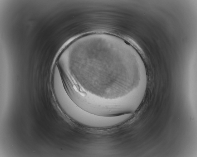 X0000083560948200703091613