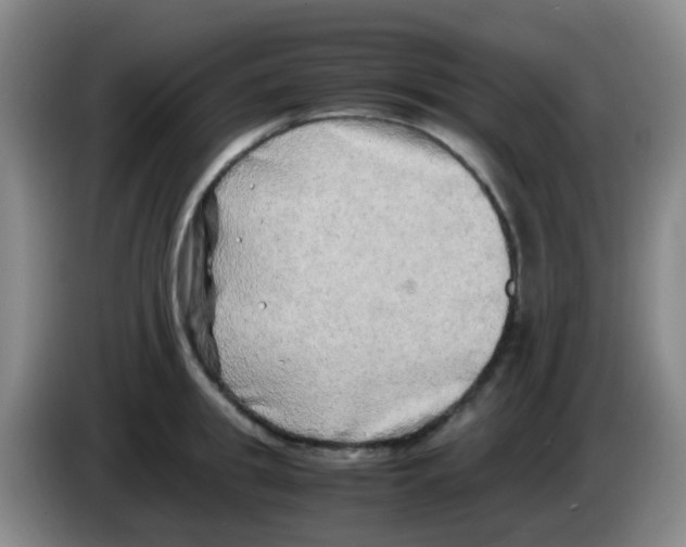 X0000083560949200703091613