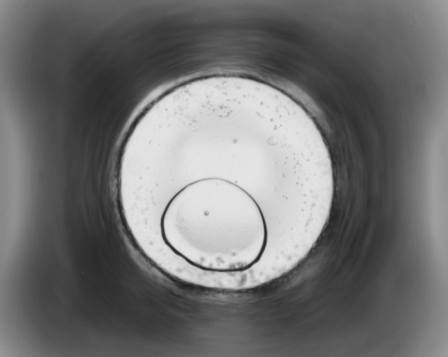 X0000083560950200703091613