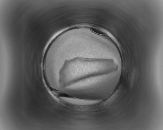 X0000083560951200703091613