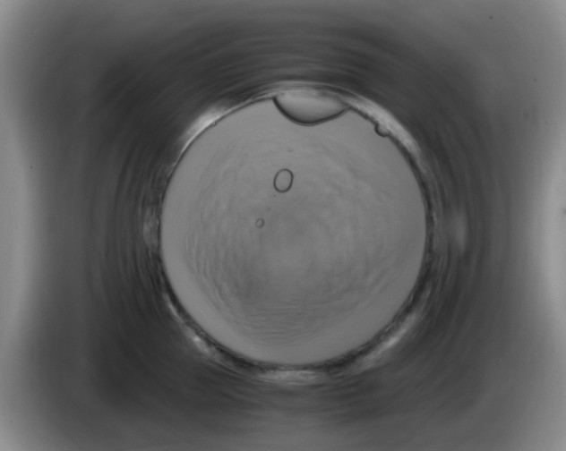 X0000083560953200703091613