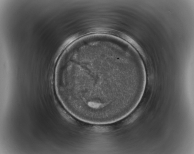 X0000083560954200703091613