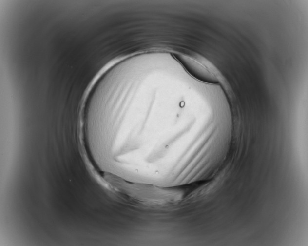 X0000083560955200703091613