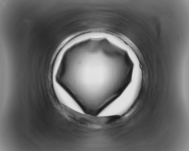 X0000083560956200703091613