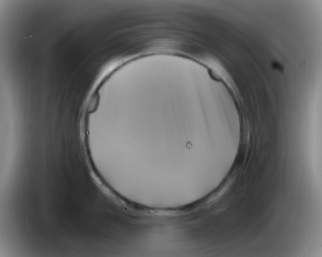 X0000083560958200703091613