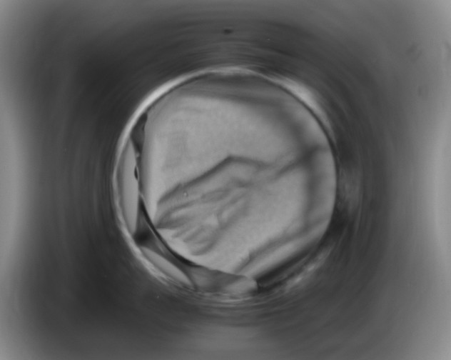 X0000083560959200703091613