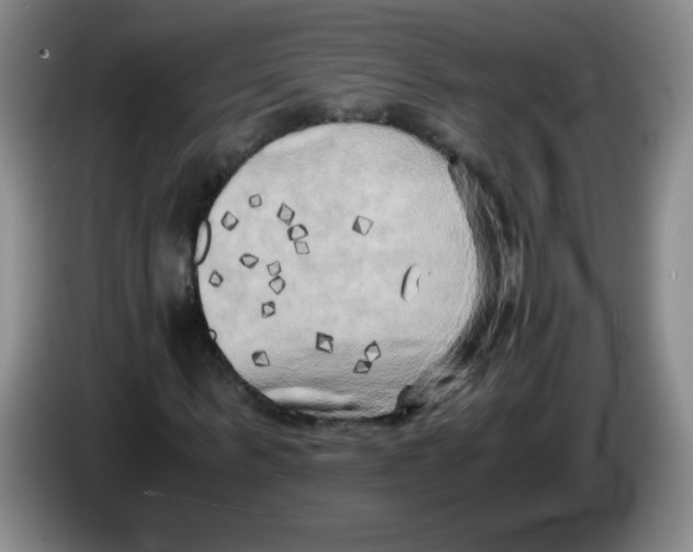 X0000083560963200703091613